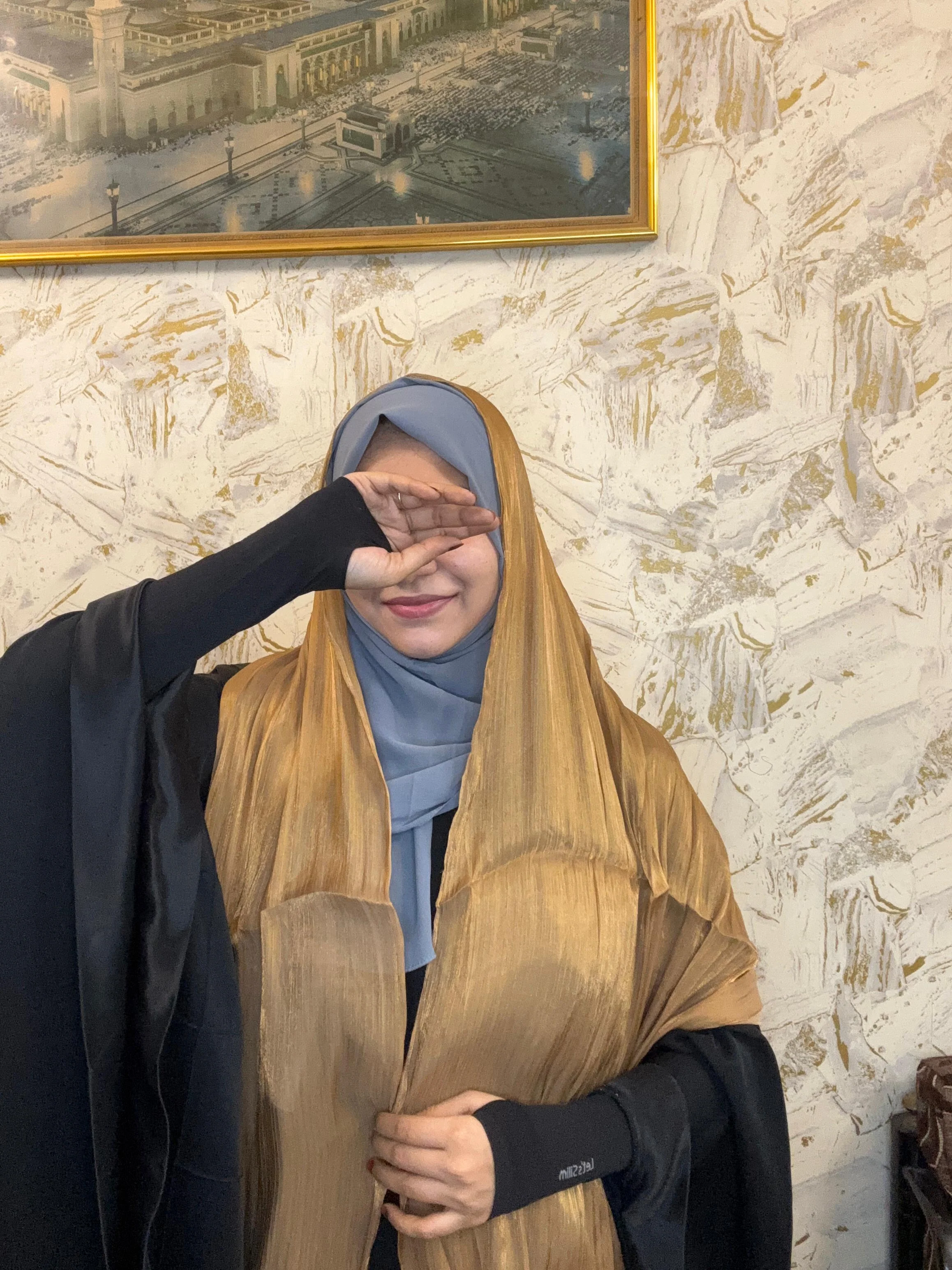 Silk Tissue Organza Hijab - Image 3