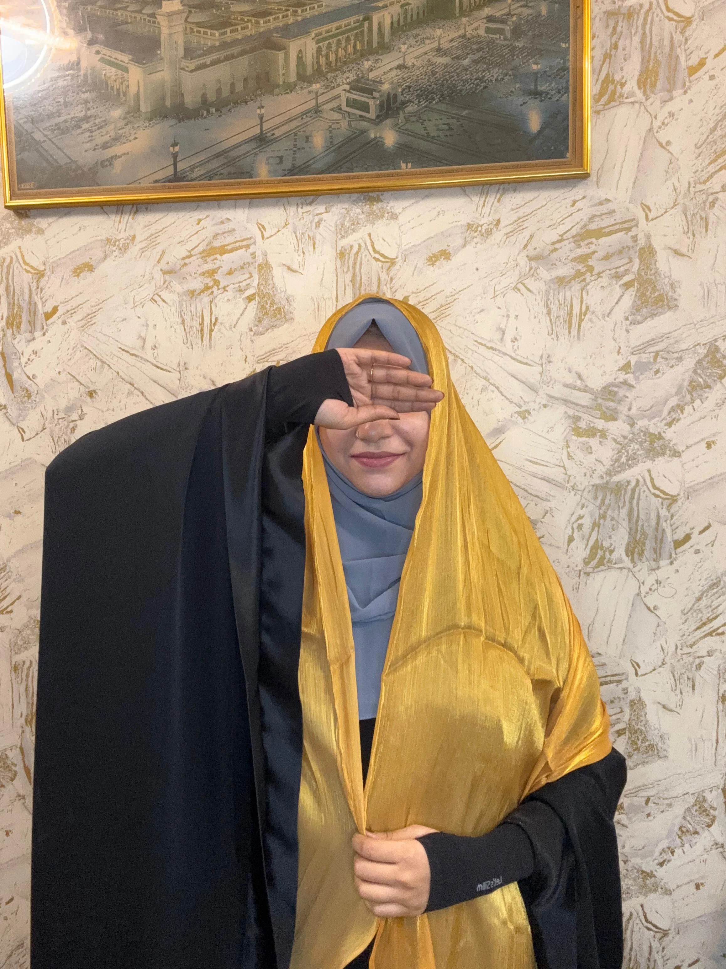 Silk Tissue Organza Hijab - Image 6