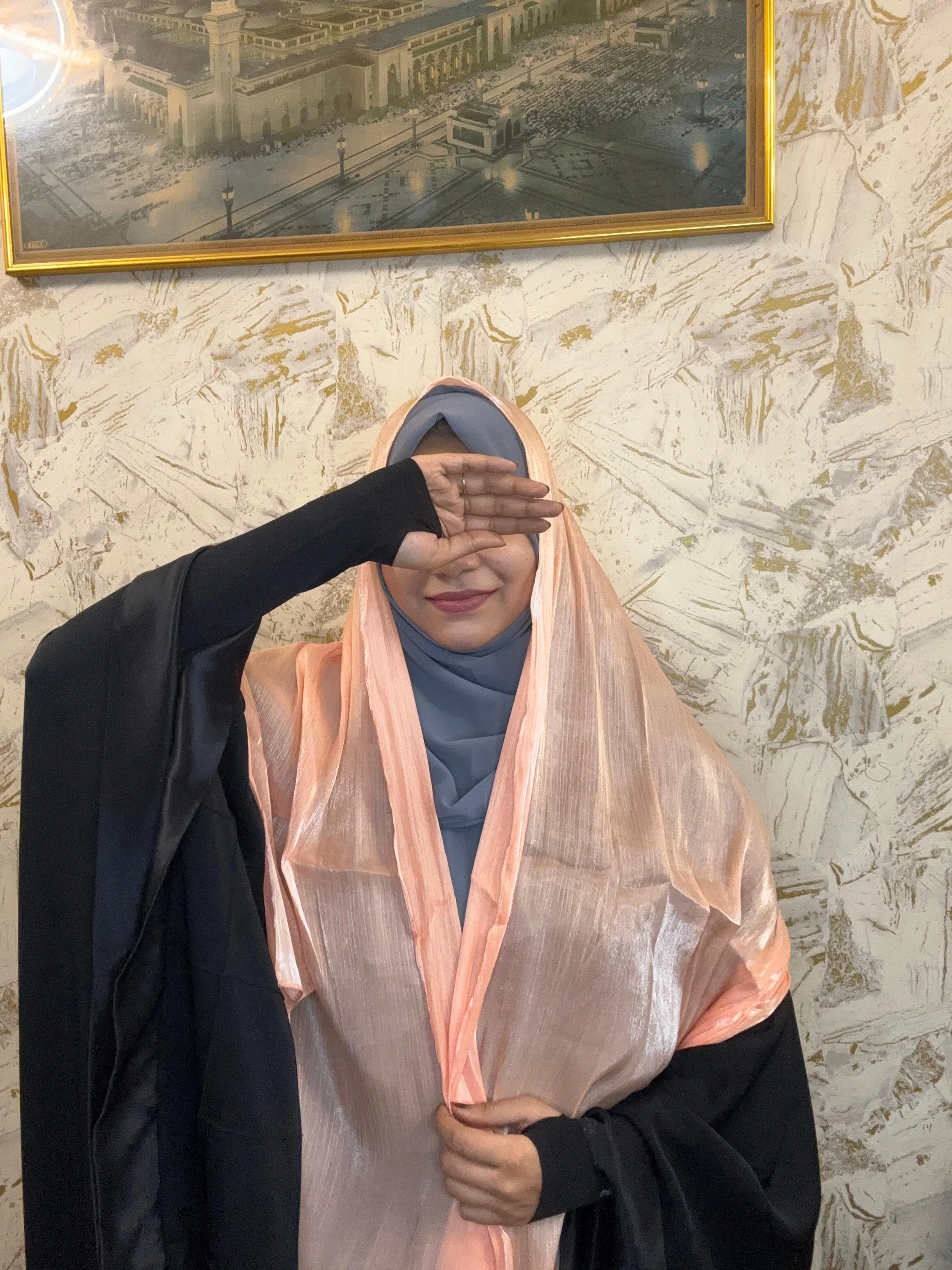 Silk Tissue Organza Hijab - Image 7